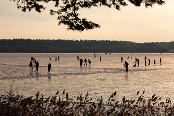 A large, natural skating rink on a lake in the forest, families with children skating. Family vacation, winter, sunset, forest, fresh air, nature, sports, active recreation.