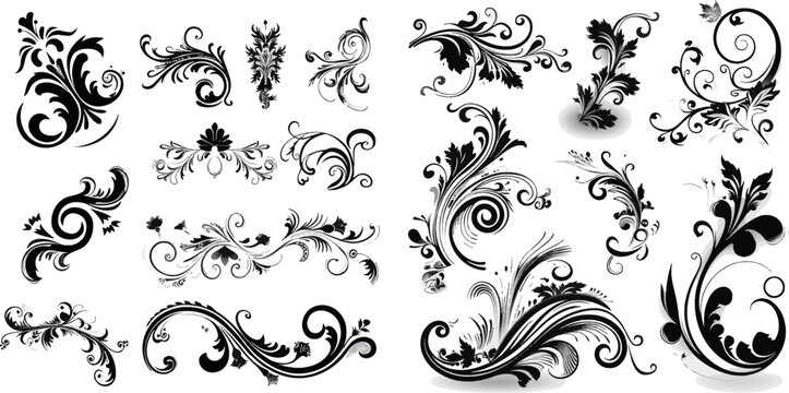 Calligraphic Design Elements - Isolated On White Background - Vector Illustration