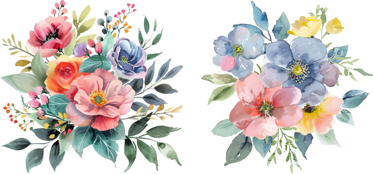 Watercolor flower collection