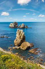 Arnia Beach (Spain) Atlantic Ocean coastline landscape with yellow flowers in front.