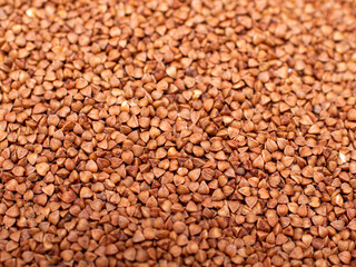 Brown buckwheat grains close up
