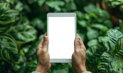 Mockup image of a man holding  tablet pc with blank white desktop screen over green nature background