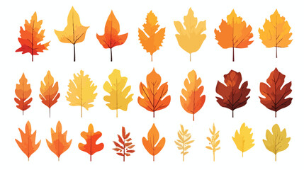 Autumn leaves colorful flat set of maple oak birch