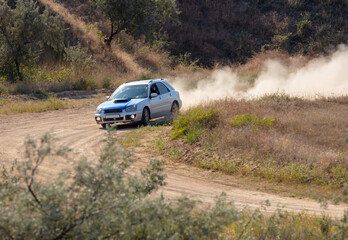 Rally Car in a Turn and a Cloud of Dust 22