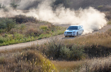 Rally Car in a Turn and a Cloud of Dust 29