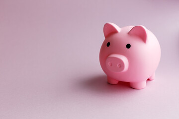 Piggy bank in the form of a pink piglet on a pink background. Financial concept.