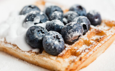 Waffle with Berries,tasty and fresh homemade waffels,Homemade Belgium Waffles With Blueberrie