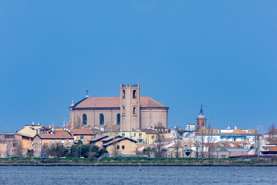 comacchio fenicottero uccello che vive sulle spiagge e paludi d'europa parco regionale delta del po