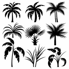 Fototapeta na wymiar Parlor Palm (Chamaedorea Elegans, Neanthe Bella Palm) Pot Plant Icon Set, Parlor Palm Plant Icon