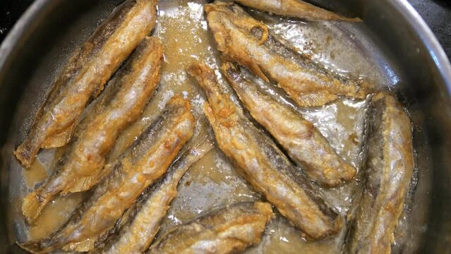 Fried Fish In Pan. Fish Frying In Oil. Roasted Seafood Cuisine 4K