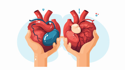 Hands of cardiologists or surgeons and heart showing