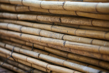 pile of used bamboo trunks for scaffolding