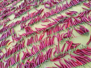 Campagna e Panorami Natura © Rik De Santis