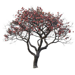 Naklejka premium Small Tree With Red Flowers On a Transparent Background PNG