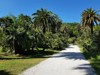 Roma Orto Botanico e Bioparco © Rik De Santis