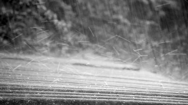summer rain with hail falls on the slate roof against the background of trees black and white video