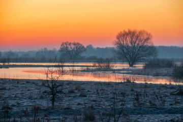 Fototapeta premium spring sunrise over the river