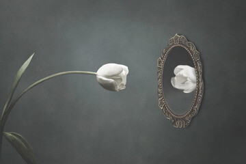 illustration of white tulip looking at itself in the mirror, vanity surreal concept - 756612159