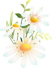 Cute little bouquet of daisy or camomile flower herb. Botanical decorative floral element for spring and summer landscapes. Vector nature illustration in watercolor style, isolated clipart. - 756612322