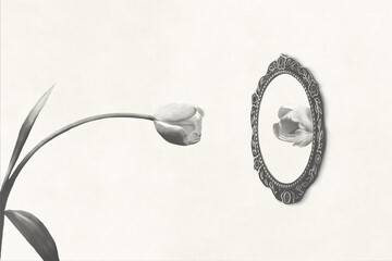illustration of white tulip looking at itself in the mirror, vanity surreal concept - 756612373