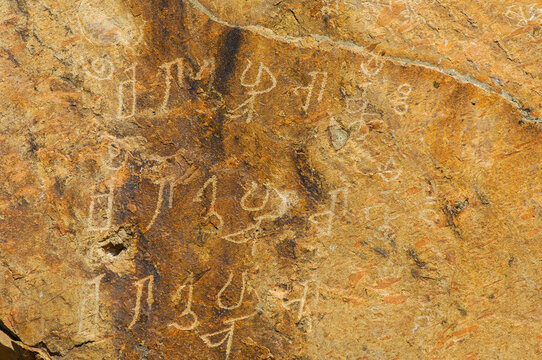 Explore ancient cave paintings from the comfort of your home. Learn about the history and culture of steppe petroglyphs. Discover the hidden meanings of petroglyphs through interactive features.