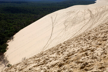 Dune of Pyla