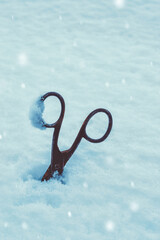 Old Rusty Scissors In Snow