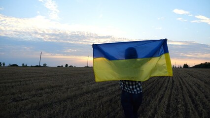 Ukrainian lady walking with national blue-yellow banner on barley meadow at sunrise. Woman going with raised flag of Ukraine above her head on wheat field at sunset. Victory against rusian aggression. - 756618373