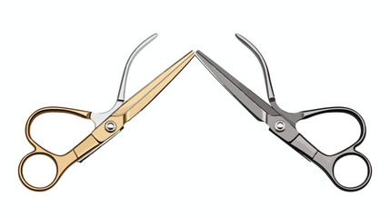 Professional open and closed scissors for cutting 