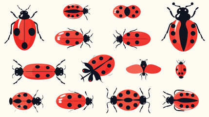 Red beetles that fly everywhere with beautiful 