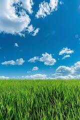 Grass Field Under Blue Sky With Clouds