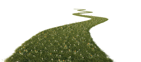 Grass path isolated on transparent background. 3D rendering.