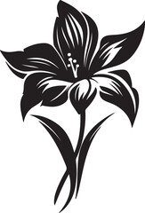 Daffodil Flower Silhouette Vector Illustration White Background