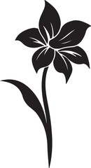 Daffodil Flower Silhouette Vector Illustration White Background