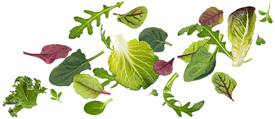 Salad leaves mix isolated on white background - obrazy, fototapety, plakaty