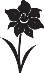 Daffodil Flower Silhouette Vector Illustration White Background