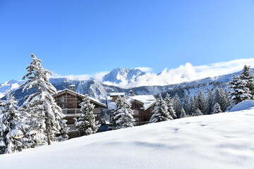 Winter scenery with snowy trees in Courchevel ski resort 