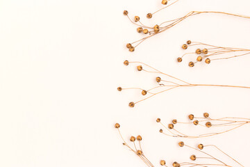 Dry flax flowers on a beige background with place for your design. Selective focus.