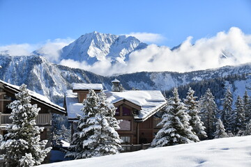 Winter scenery with snowy trees and chalets 