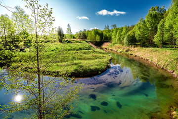 Clear water and beautiful water source in river forest at the spring or summer sunny day. - 756630175