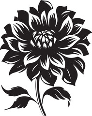 Dahlia Flower Silhouette Vector Illustration White Background
