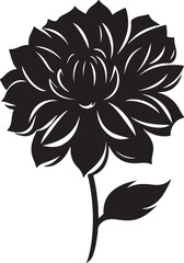 Dahlia Flower Silhouette Vector Illustration White Background