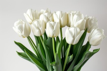 Beautiful bouquet of white tulips on a serene white background, Generative AI