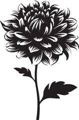 Dahlia Flower Silhouette Vector Illustration White Background