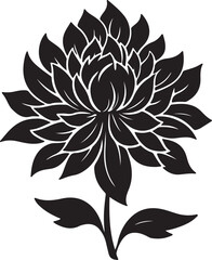 Dahlia Flower Silhouette Vector Illustration White Background