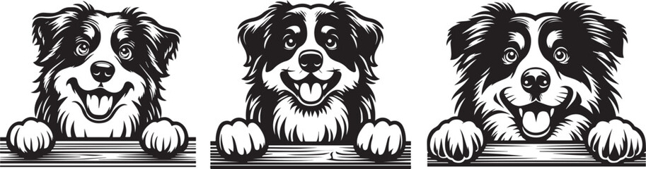 joyful smiling border collie looking friendly and satisfied, black vector graphic