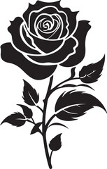 Rose Flower Silhouette Vector Illustration White Background