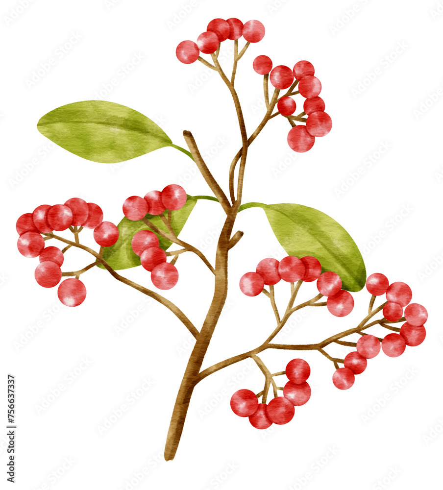 Wall mural Branch of Red berries watercolor style Decorative Element