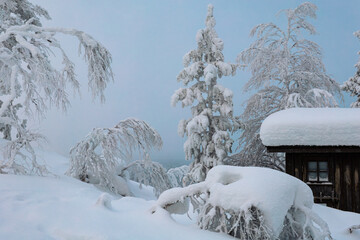H&uuml;tte und B&auml;ume im tiefen Schnee auf einem Berg