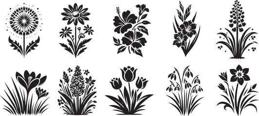 collection of various flowers, hibiscus, orchid, daisy, dandelion, heather, rose, crocus, black vector graphic